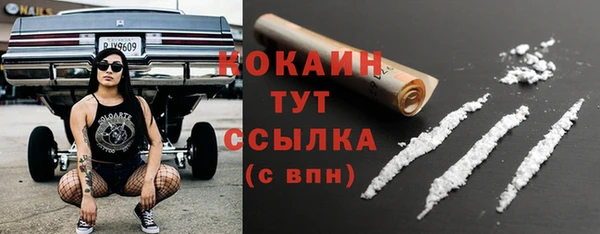 стафф Кострома