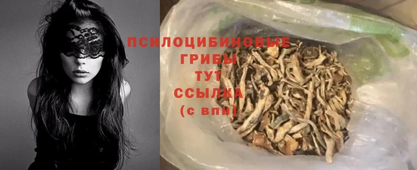 индика Красноперекопск