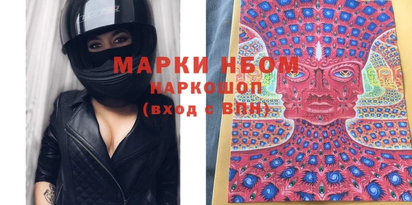 индика Красноперекопск