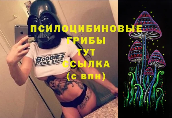 меф Мурманск