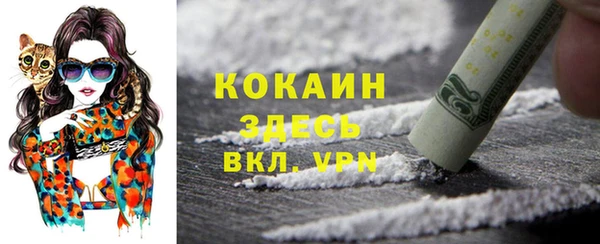 индика Красноперекопск