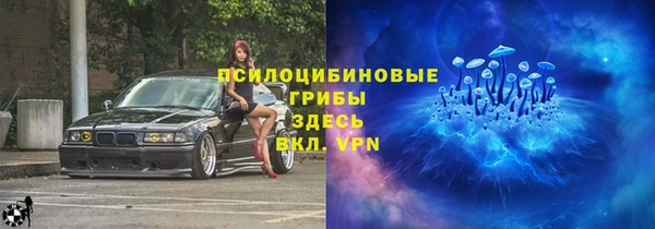 крисы Краснотурьинск