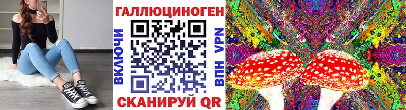 ссылка на мегу как войти  Чёрмоз  Псилоцибиновые грибы Psilocybine cubensis 